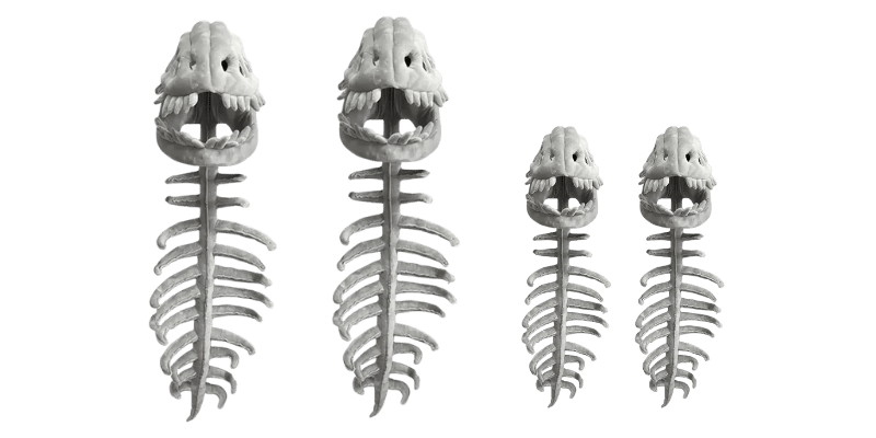 Dinosaur Skeleton Plush Merch